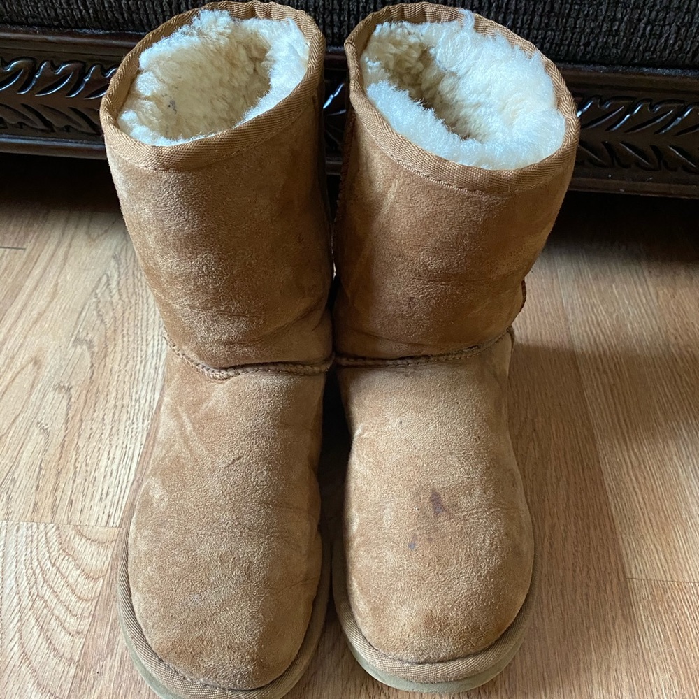 Ugg classic short chesnut size 6